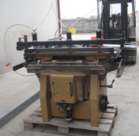 Foratriceuna testa con 29 punte